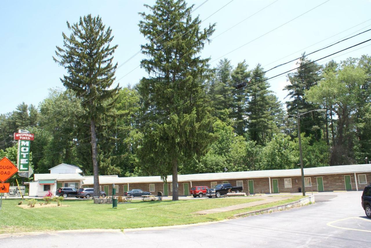 Whispering Pines Motel - آشفيل المظهر الخارجي الصورة